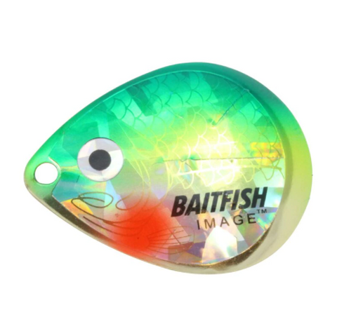 Baitfish-Image Blade - Yellow Perch