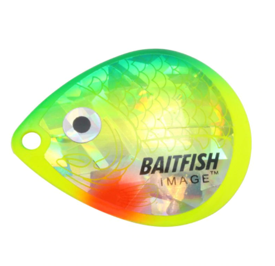 Baitfish-Image® Blade - Sunfish – SnoBear Canada